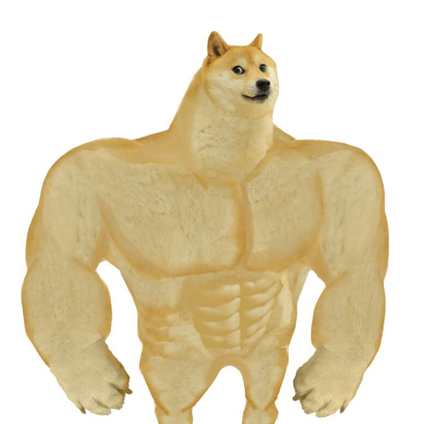 dogeStrong